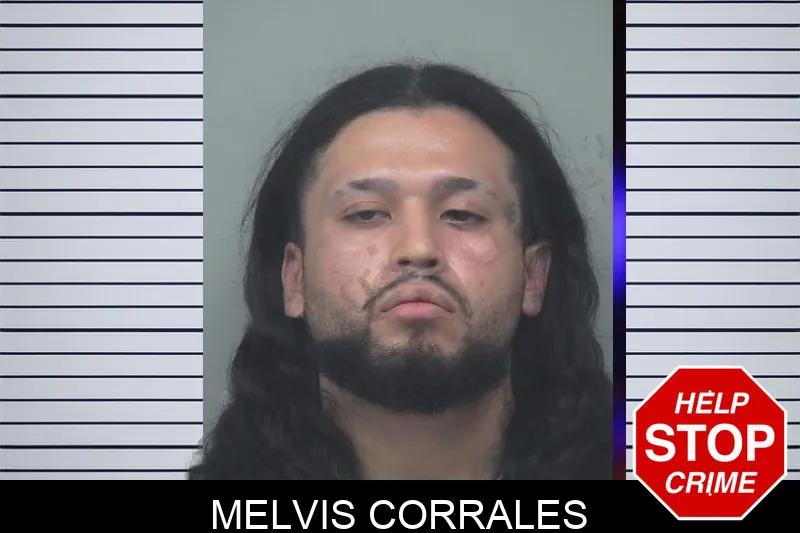 Melvis Corrales Mugshots
