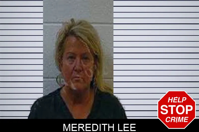 Meredith Lee mugshot – Polk County , Georgia Meredith Lee mugshot