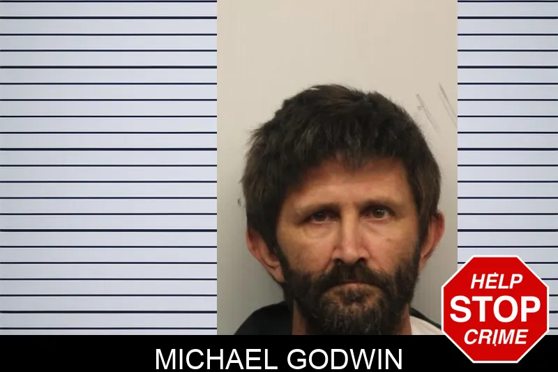 Michael Godwin mugshot