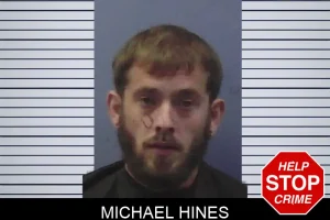 Michael Hines mugshot