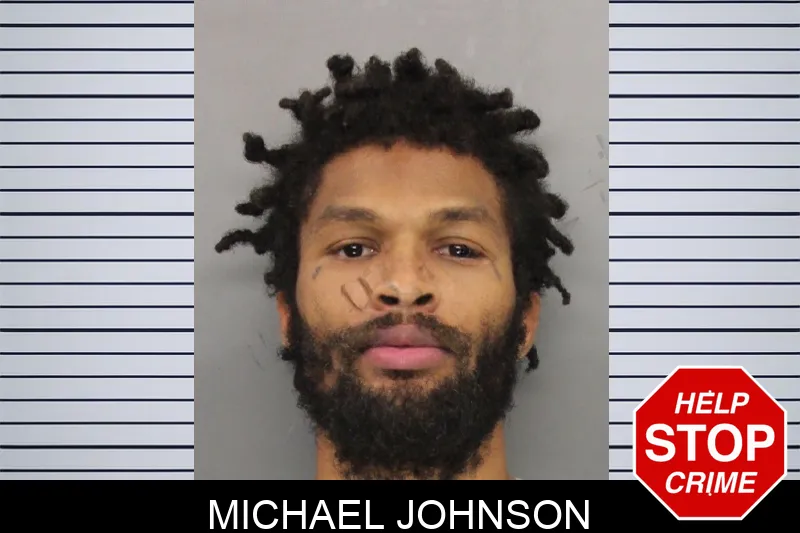 Michael Johnson mugshot