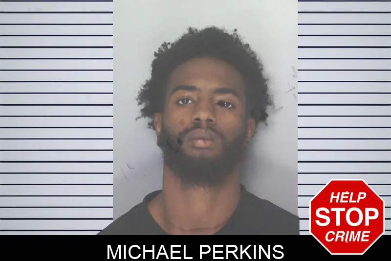 Michael Perkins mugshot