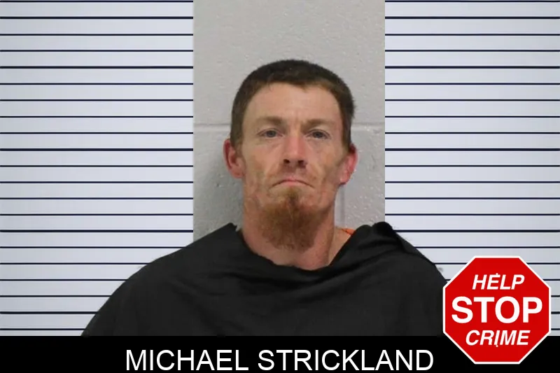 Michael Strickland Mugshots