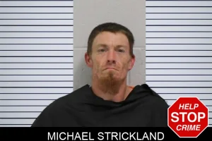 Michael Strickland mugshot