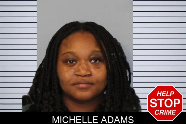 Michelle Adams mugshot – Mcintosh County , Georgia Michelle Adams