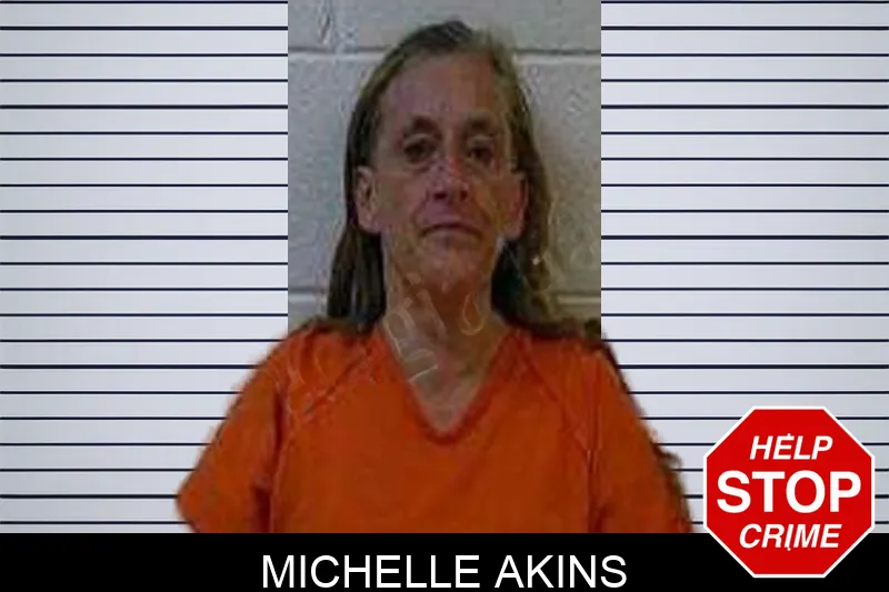 Michelle Akins Mugshots