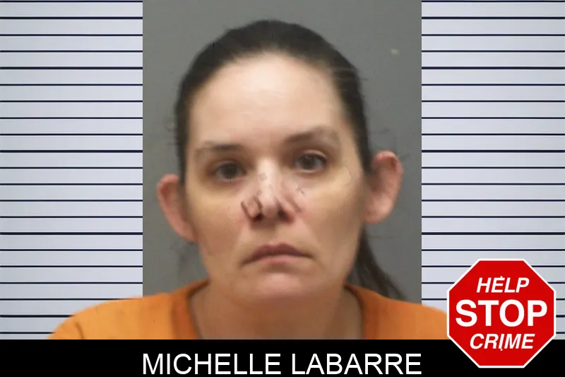 Michelle Labarre mugshot