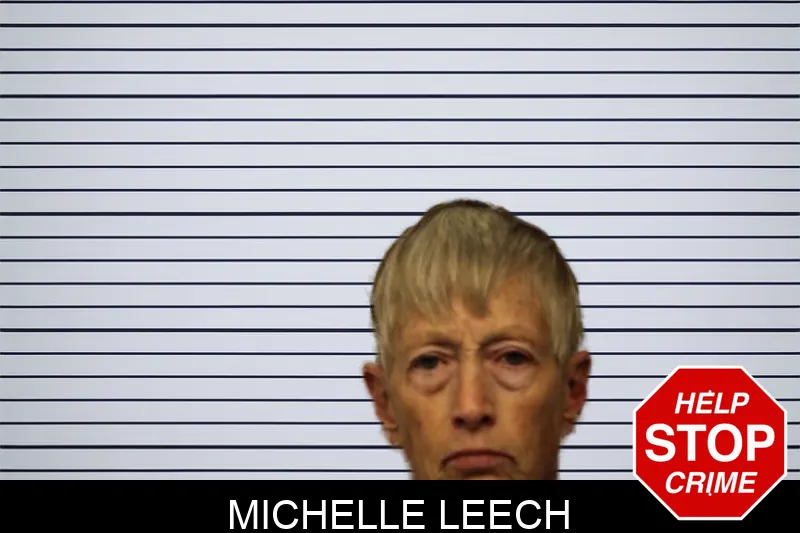 Michelle Leech mugshot – Chatham County , Georgia Michelle Leech mugshot