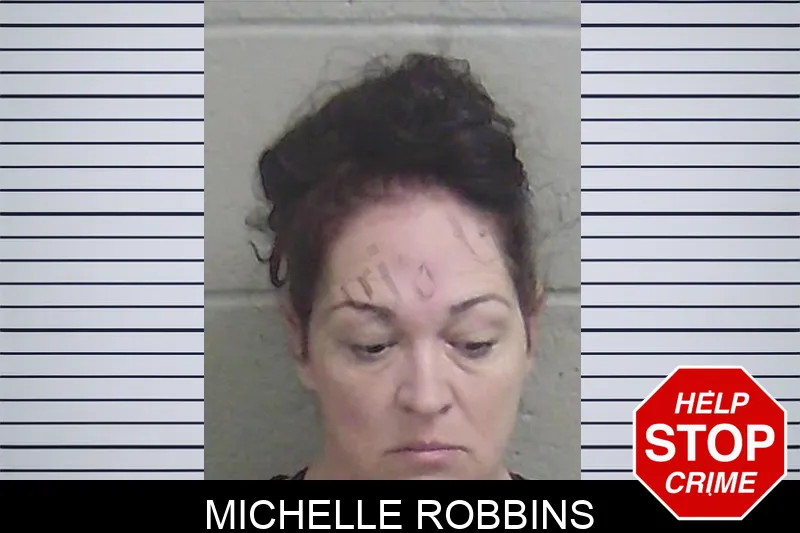 Michelle Robbins Mugshots
