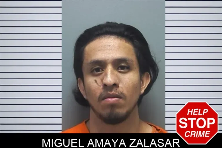 Miguel Amaya Zalasar