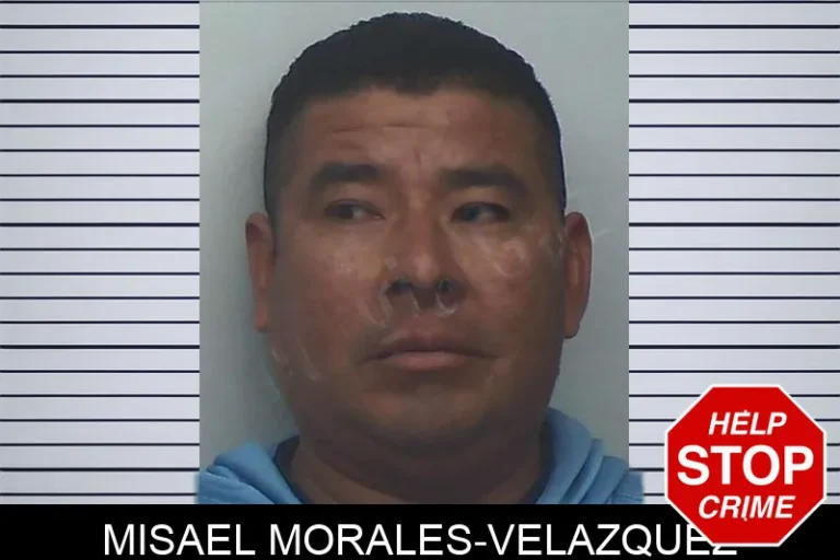 Misael Morales-Velazquez