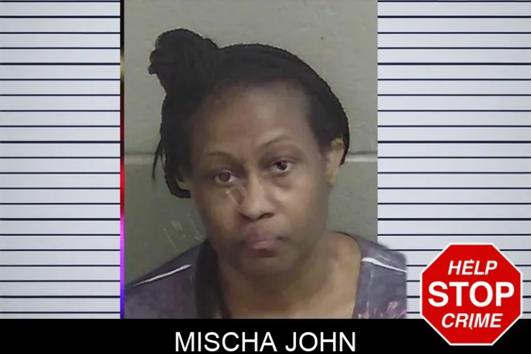 Mischa John mugshot – Wayne County , Georgia Mischa John