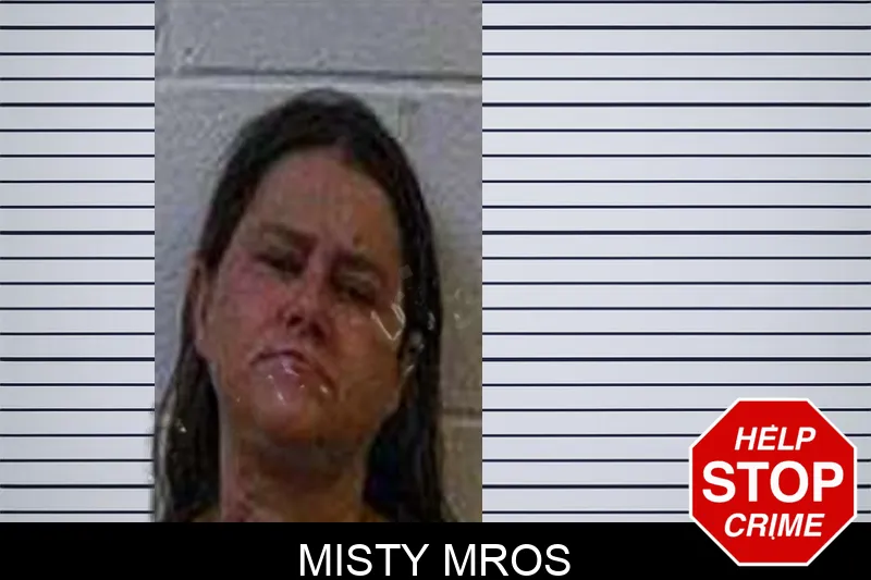 Misty Mros Mugshots