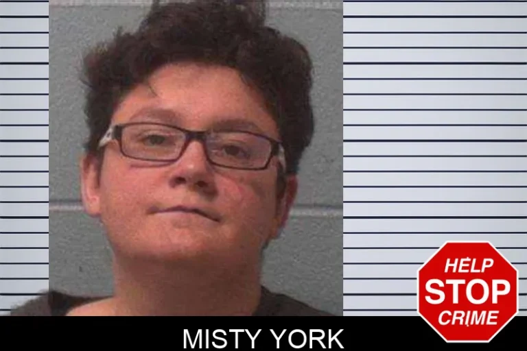Misty York mugshot β Franklin County , Georgia Misty York