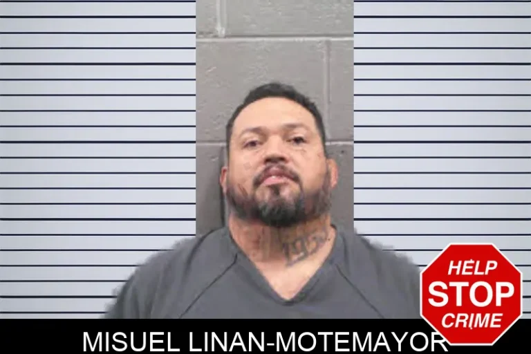 Misuel Linan-Motemayor