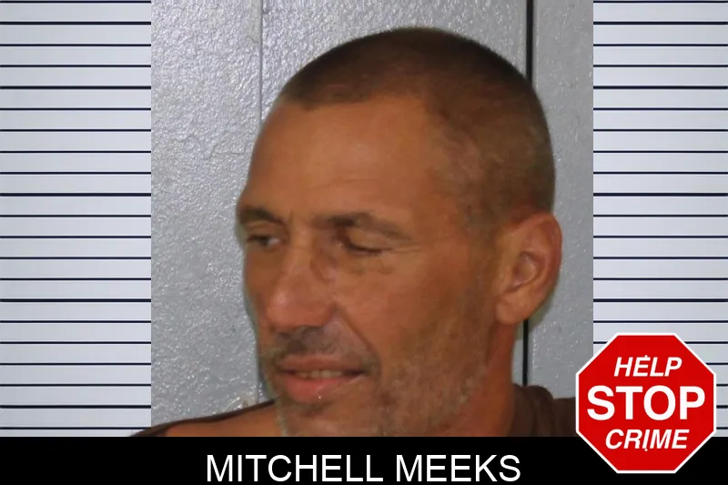 Mitchell Meeks mugshot