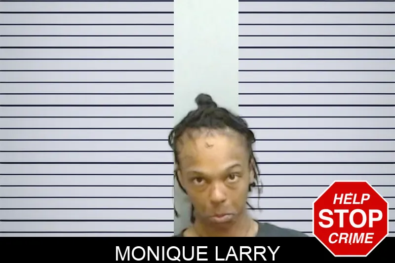 Monique Larry Mugshots