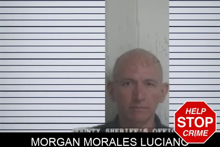 Morgan Morales Luciano