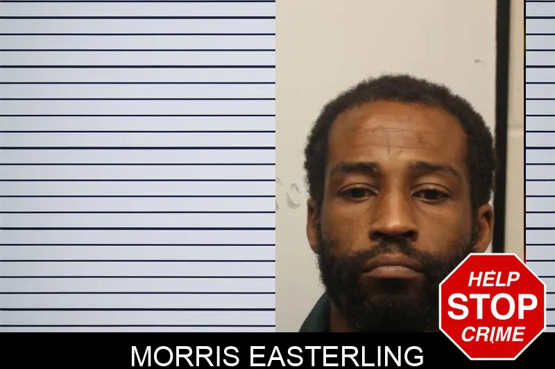 Morris Easterling mugshot
