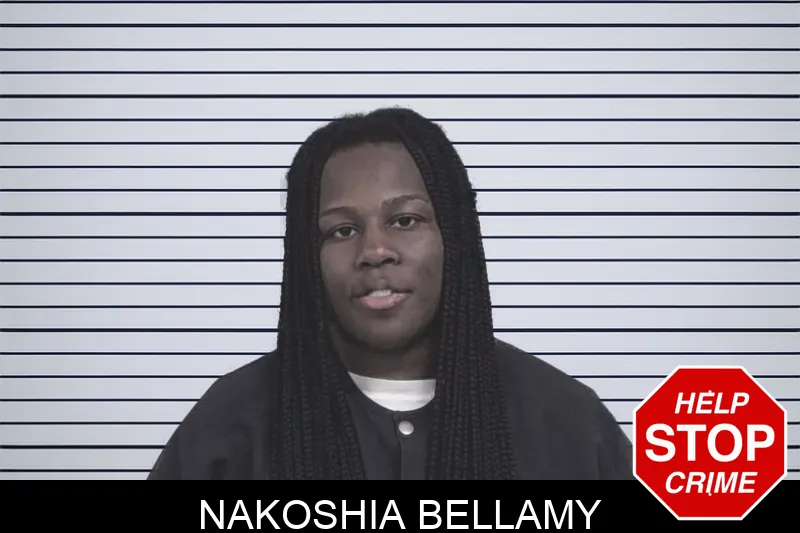 Nakoshia Bellamy mugshot – Lowndes County , Georgia Nakoshia Bellamy mugshot