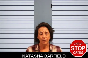 Natasha Barfield mugshot