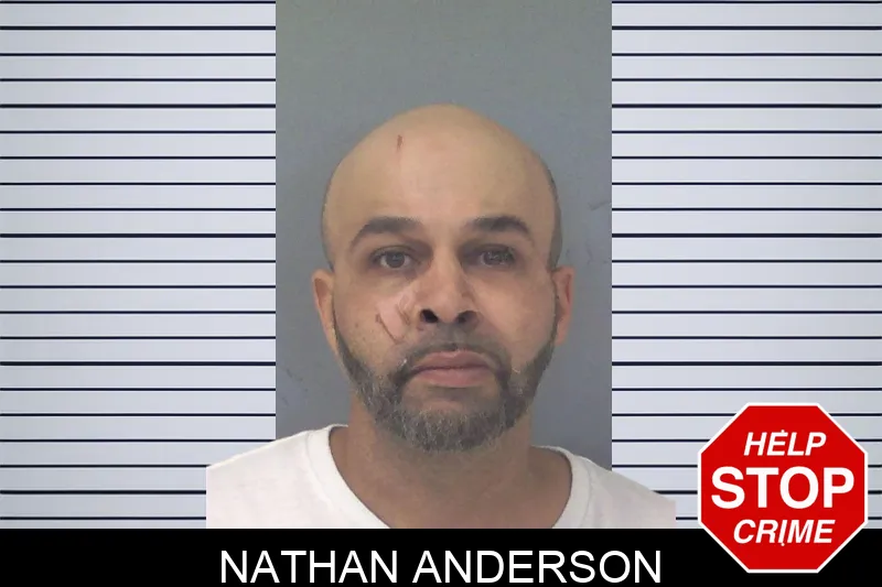 Nathan Anderson Mugshots