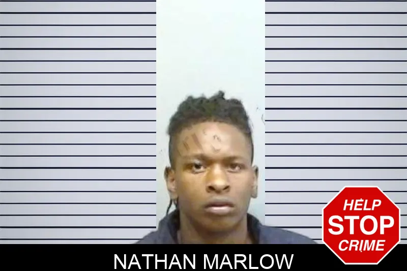 Nathan Marlow mugshot – Fulton County , Georgia Nathan Marlow mugshot
