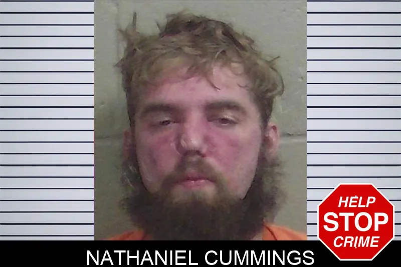 Nathaniel Cummings Mugshots