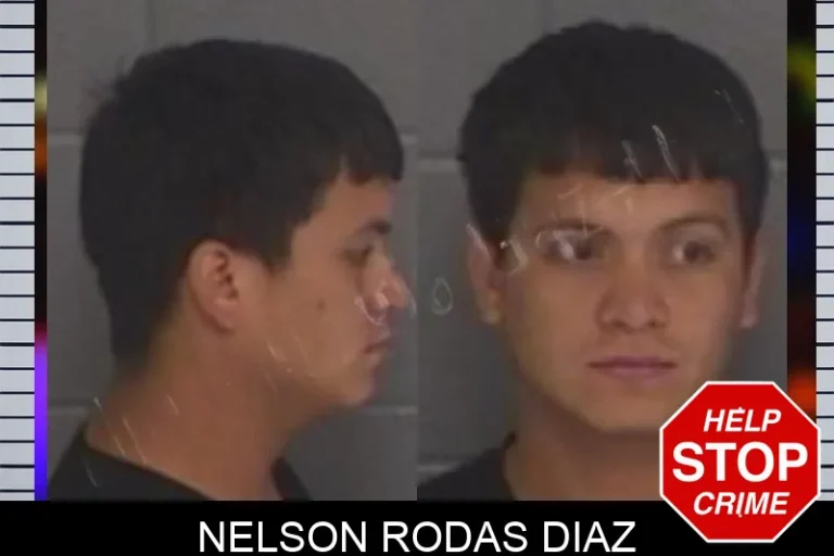 Nelson Rodas Diaz
