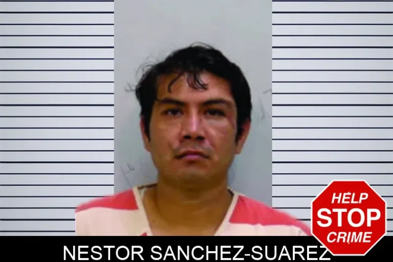 Nestor Sanchez-Suarez