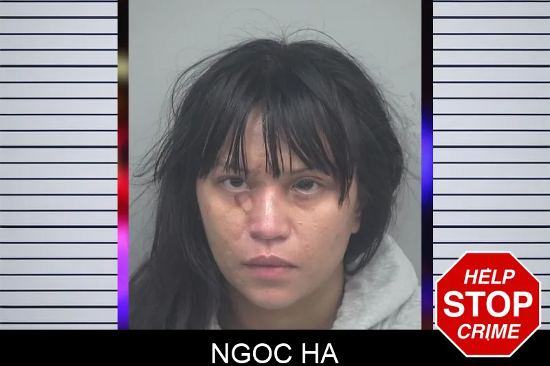 Ngoc Ha Mugshots