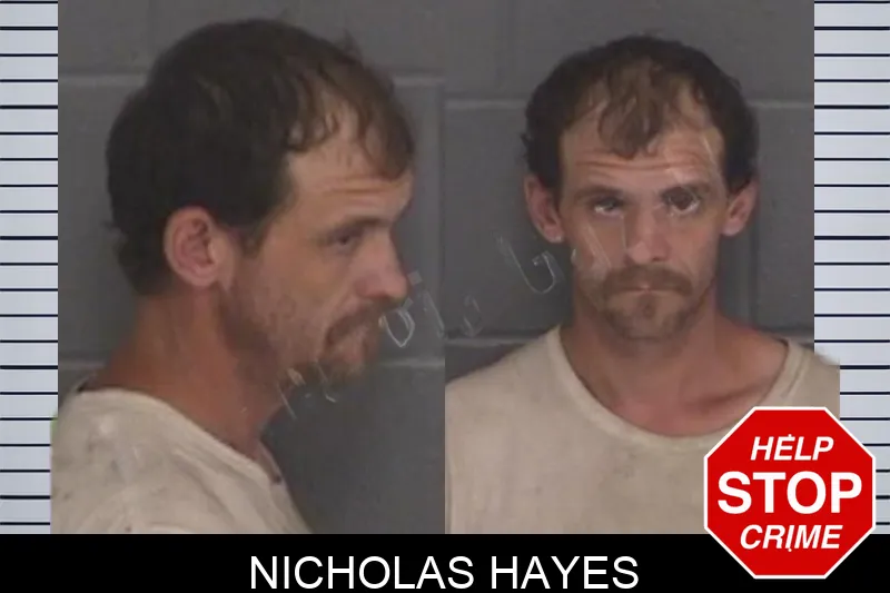 Nicholas Hayes mugshot – Barrow County , Georgia Nicholas Hayes mugshot