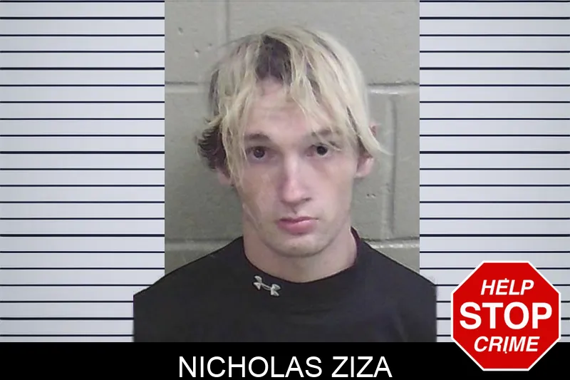 Nicholas Ziza Mugshots