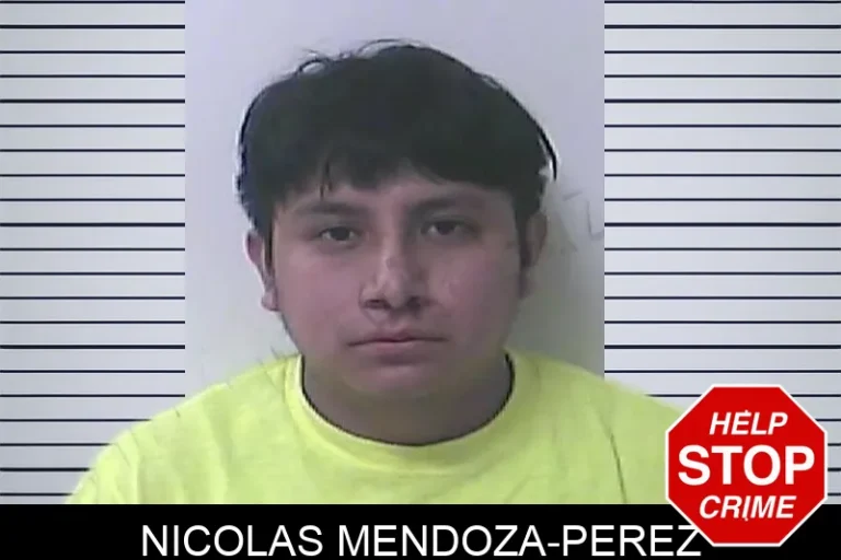 Nicolas Mendoza-Perez