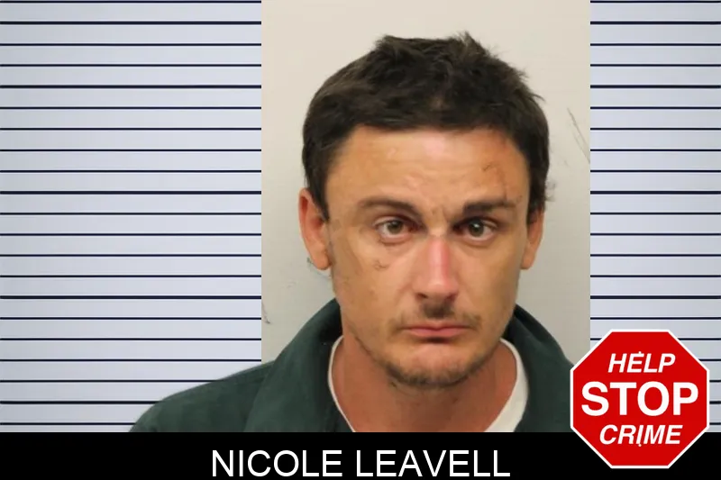 Nicole Leavell mugshot – Chatham County , Georgia Nicole Leavell mugshot