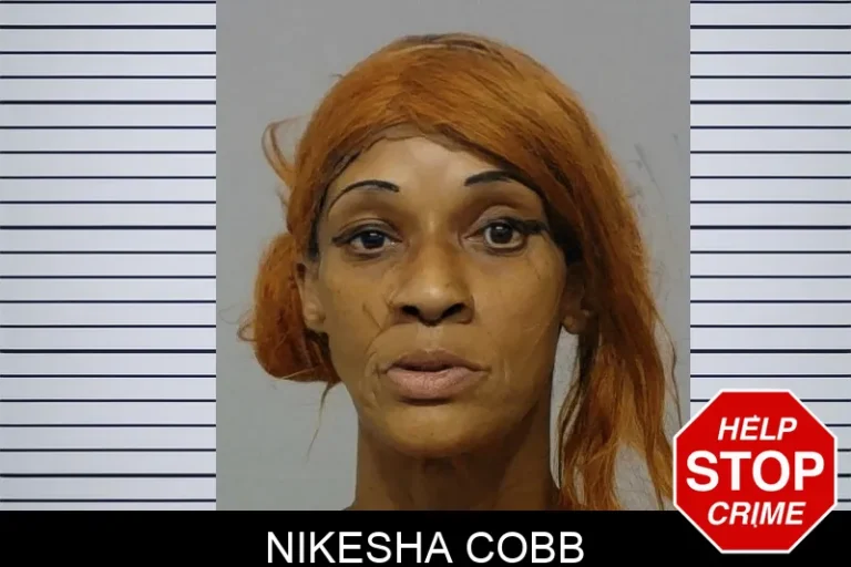 Nikesha Cobb mugshot – Bibb County , Georgia Nikesha Cobb