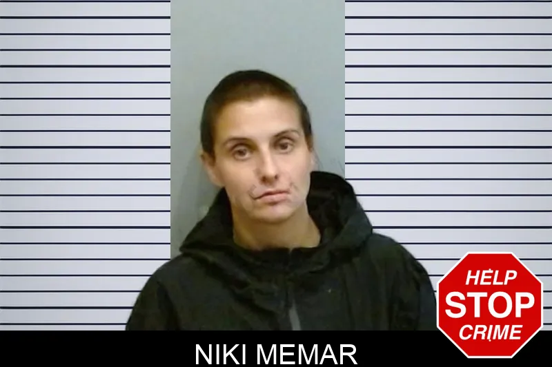 Niki Memar Mugshots