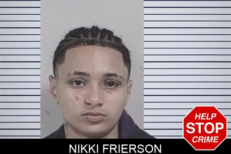 Nikki Frierson mugshot – Lowndes County , Georgia Nikki Frierson