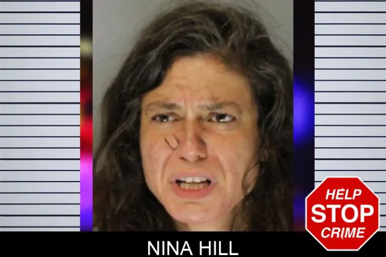 Nina Hill