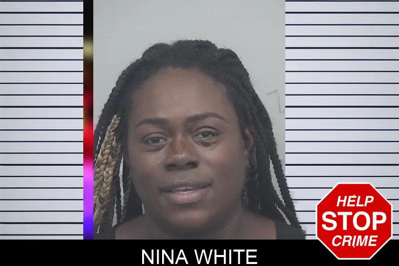 Nina White mugshot – Gwinnett County , Georgia Nina White mugshot