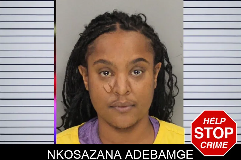 Nkosazana Adebamge mugshot