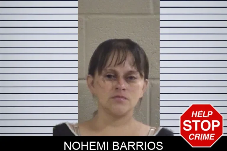 Nohemi Barrios mugshot – Whitfield County , Georgia Nohemi Barrios