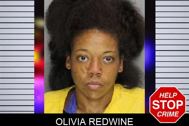 Olivia Redwine mugshot