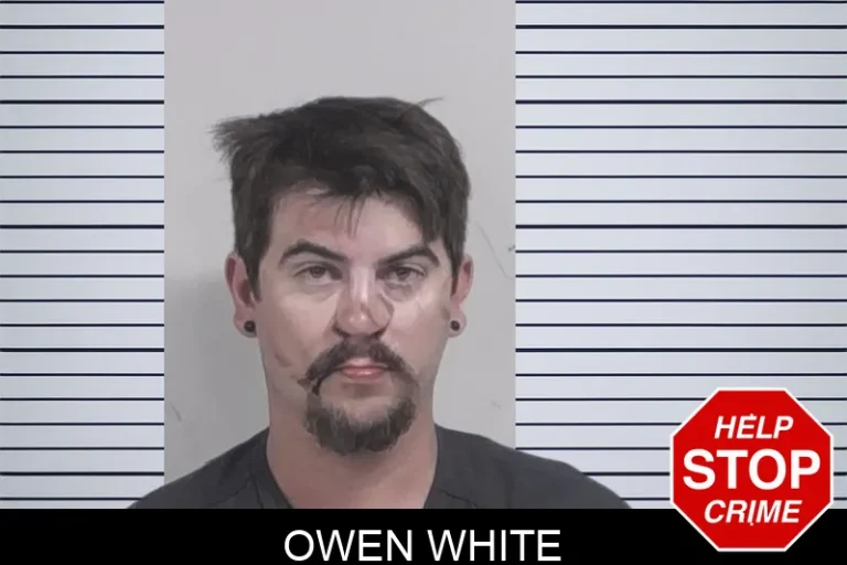 Owen White mugshot – Lowndes County , Georgia Owen White