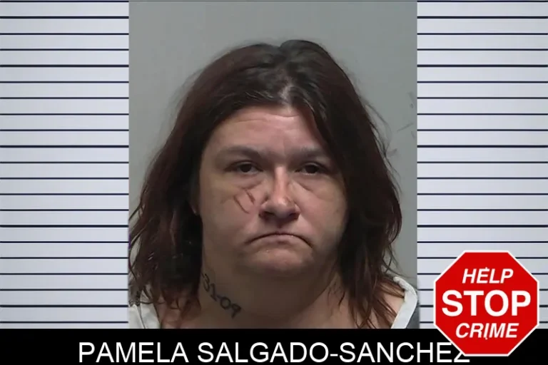 Pamela Salgado-Sanchez mugshot – Tift County , Georgia Pamela Salgado-Sanchez