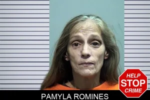 Pamyla Romines mugshot