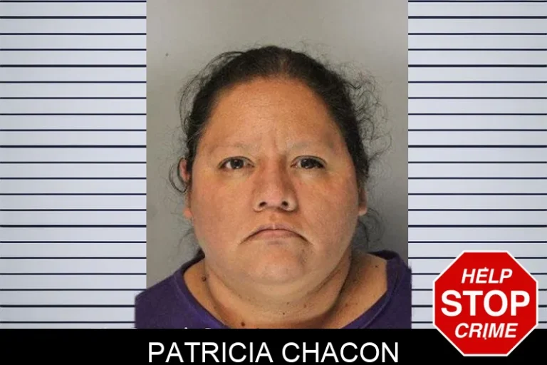 Patricia Chacon mugshot – Hall County , Georgia Patricia Chacon