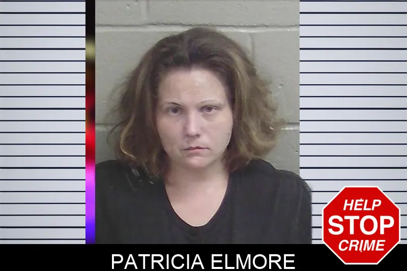 Patricia Elmore Mugshots