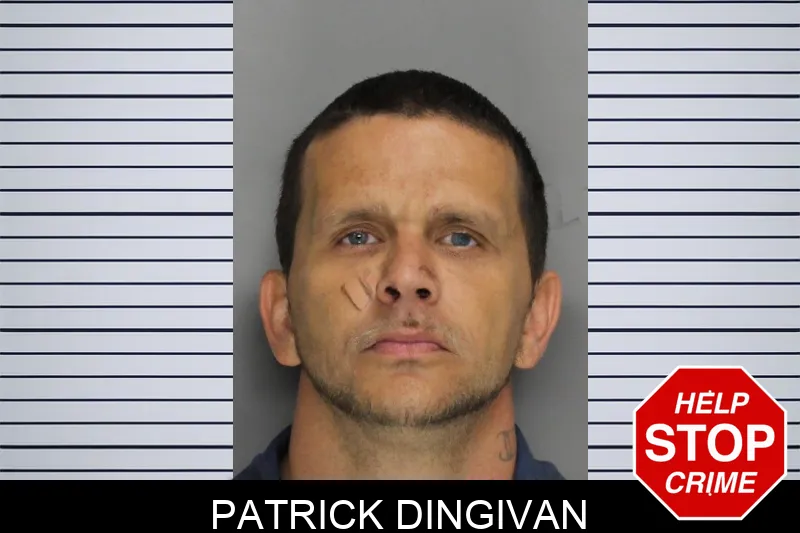 Patrick Dingivan mugshot – Cobb County , Georgia Patrick Dingivan mugshot