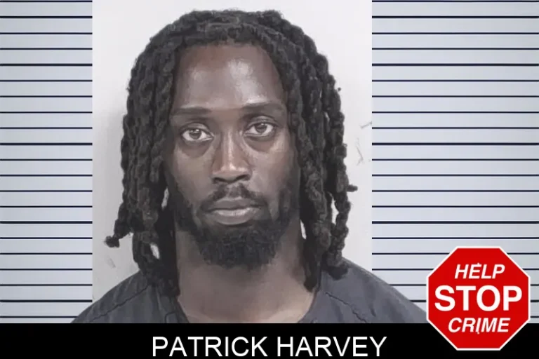 Patrick Harvey
